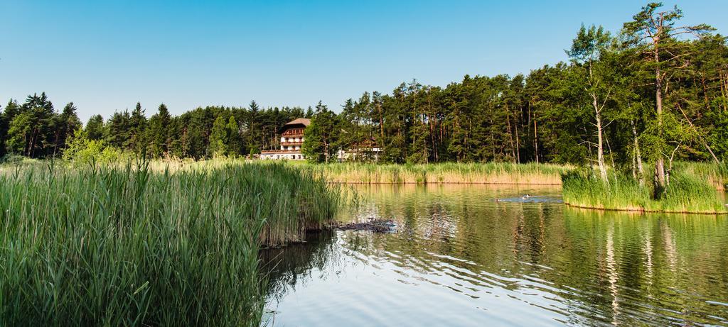 פיה Hotel Waldsee מראה חיצוני תמונה