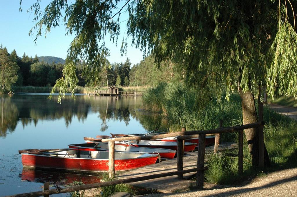 פיה Hotel Waldsee מראה חיצוני תמונה