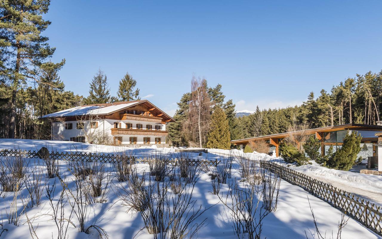 פיה Hotel Waldsee מראה חיצוני תמונה